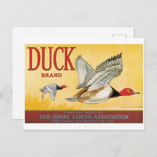 ダックスレモンサンディマスロサンゼルスカリフォルニア ポストカード (正面/裏面)