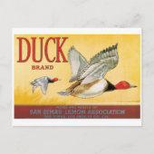 ダックスレモンサンディマスロサンゼルスカリフォルニア ポストカード (正面)