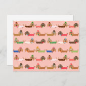 ダックスンオンピンク ポストカード (正面/裏面)