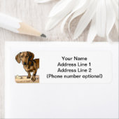 ダックスン ラベル (インサイチュ)