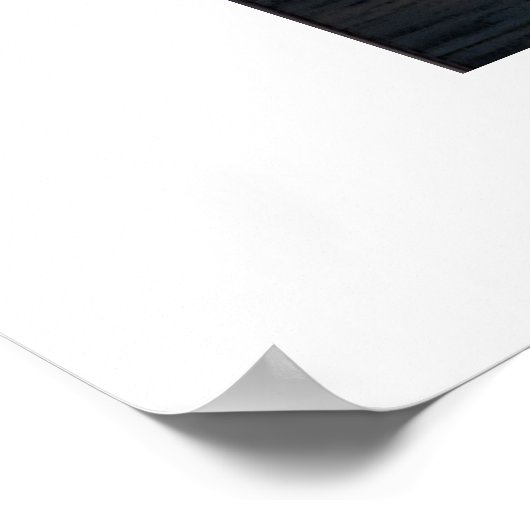 ダックス飛行中 ポスター (角)