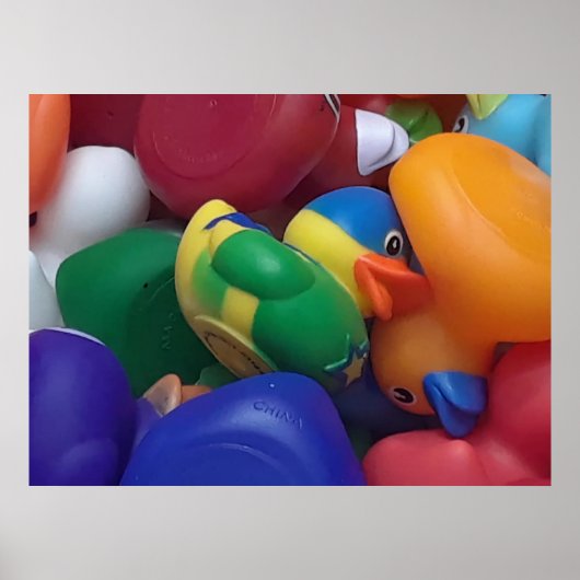 ダックス・ケン・ゲージ写真 ポスター (正面)