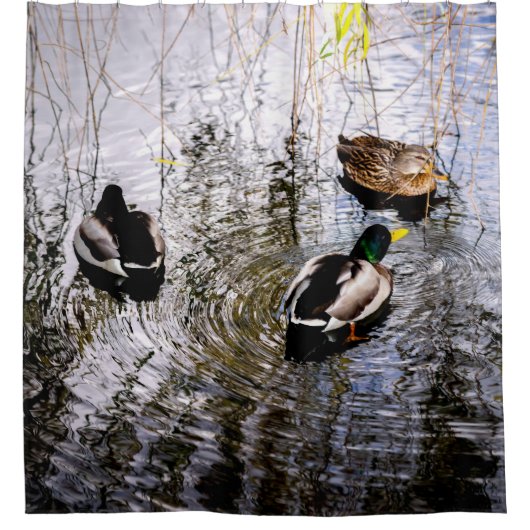 ダックス シャワーカーテン (正面)