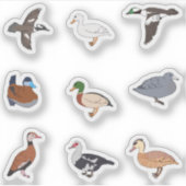 ダックス シール (正面)