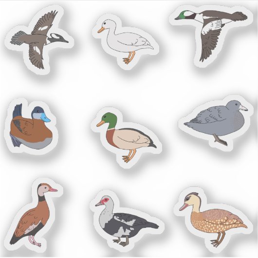 ダックス シール (正面)