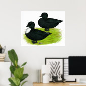 ダックス：ブラックコール ポスター (ホームオフィス)