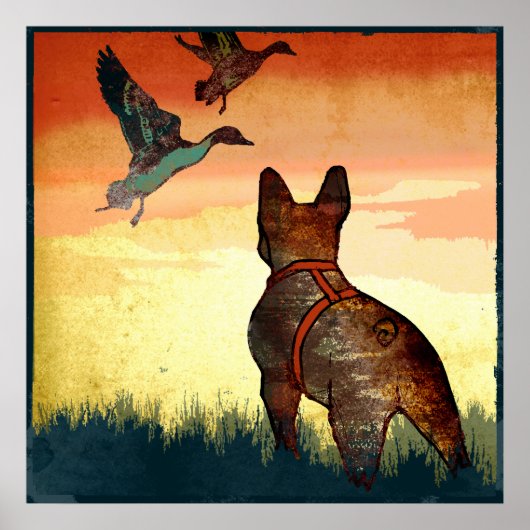 ダックス ポスター (正面)