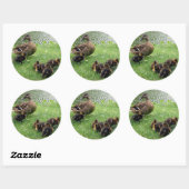 ダックス ラウンドシール (シート)