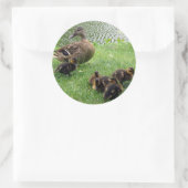 ダックス ラウンドシール (バッグ)