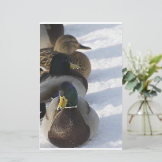 ダックス 便箋 (スタンド正面)