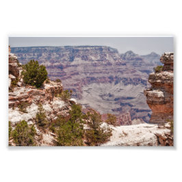 ダックズグランドビュー フォトプリント           