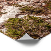 ダックズグランドビュー ポスター (角)