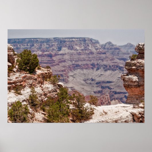 ダックズグランドビュー ポスター (正面)