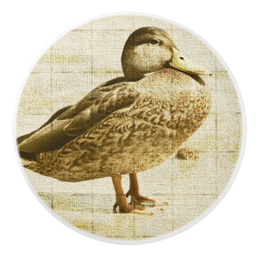 ダックセラミックノブ セラミックノブ (正面)