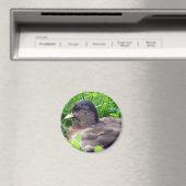 ダックドレイクを呼ぶ マグネット (インサイチュ (食洗機))