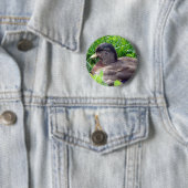 ダックドレイクを呼ぶ 缶バッジ (インサイチュ)