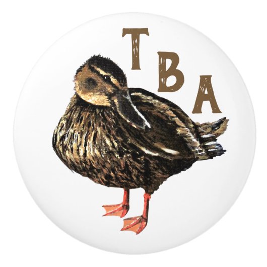 ダックノブ セラミックノブ (正面)