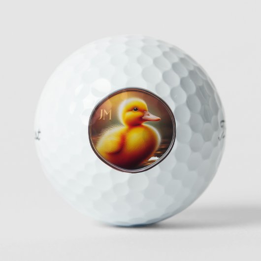 ダックパーソナライズされたタイトリストPro V1ゴルフボール ゴルフボール (正面)