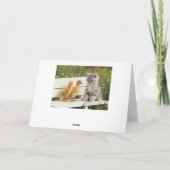 ダックヒープと友人インタビュー子猫。 カード (裏面)