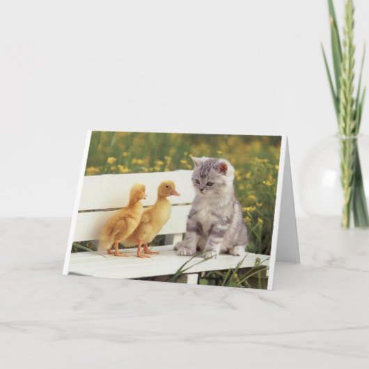 ダックヒープと友人インタビュー子猫。 カード (正面)