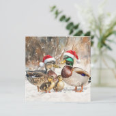 ダックファミリーカード シーズンカード (スタンド正面)