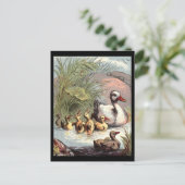 ダックファミリー ポストカード (スタンド正面)