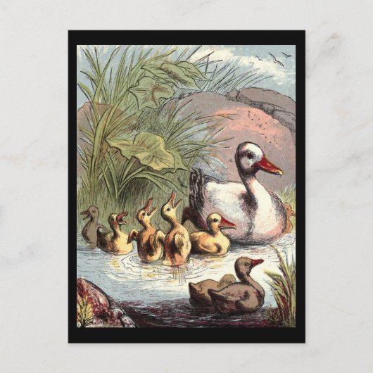 ダックファミリー ポストカード (正面)