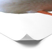 ダックフォトポスター ポスター (角)