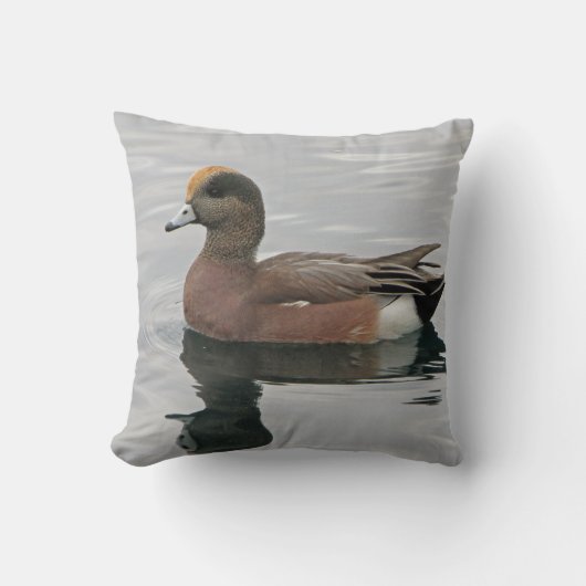 ダックフォトレイクバードウィゲオンブルーブラウン穏やかな水 クッション (正面)