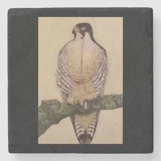 ダックホークストーンコースター ストーンコースター (正面)