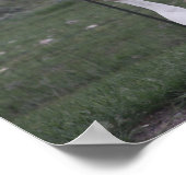 ダックポスター ポスター (角)