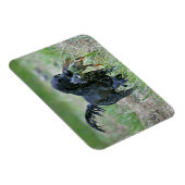 ダックマグネット付きフラットコートレトリバー マグネット (右側)