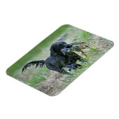 ダックマグネット付きフラットコートレトリバー マグネット (左側)