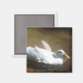 ダックマグネット マグネット (正面/裏面)