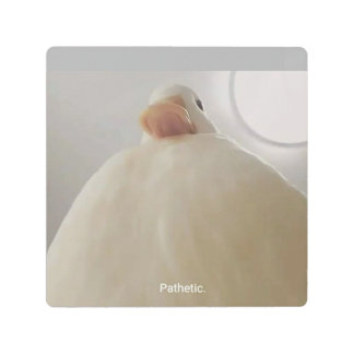 ダックミーム メタルプリント