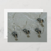 ダックリング ランゴレン運河 ポストカード (正面/裏面)