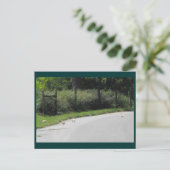 ダック交差 ポストカード (スタンド正面)