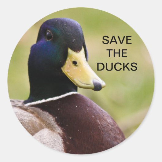 ダック救スステッカー ラウンドシール (正面)
