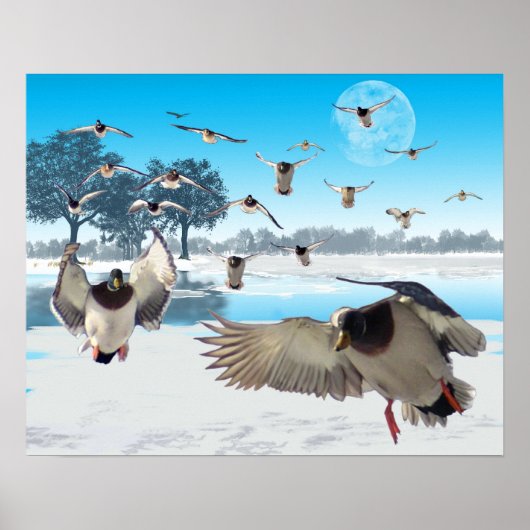 ダック湖 ポスター (正面)