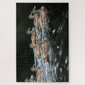 ダック ジグソーパズル (縦)