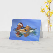 ダック – 長老 – 感謝Bible Verse JW カード (黄色い花)