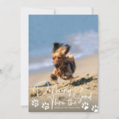 ダッシュスルーザサンドビーチドッグポーズホリデーフォト シーズンカード (正面)
