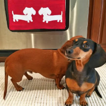 ダッシュントのキッチンディッシュタオルワッフル