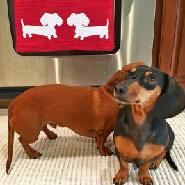 ダッシュントのキッチンディッシュタオルワッフル キッチンタオル