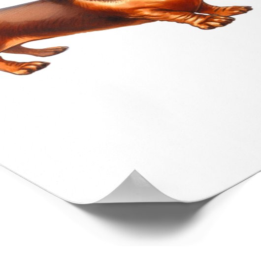 ダッシュント絵画ズ – ウィーナー犬の水彩画 ポスター (角)