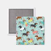 ダッシュンドバースデーパーティーお祝い マグネット (正面/裏面)