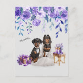 ダッシ結婚ャンド美術 ポストカード (正面)