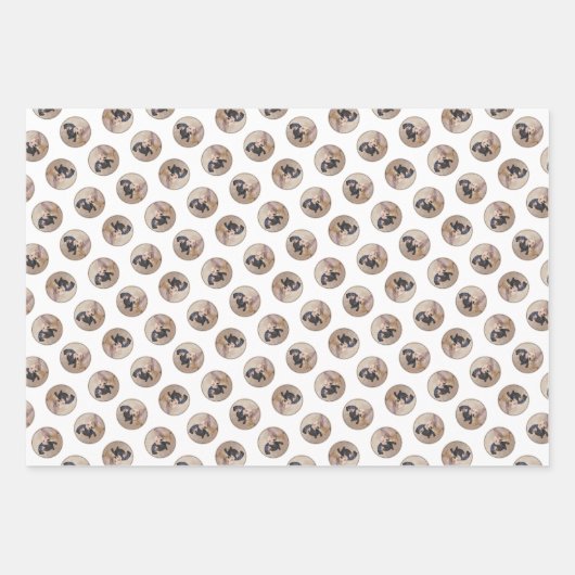 ダッシ絵を描ャンドの滑らかな黒褐色の犬アート ラッピングペーパーシート (正面2)