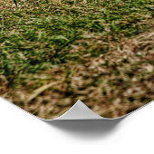 ダッジデーモン ポスター (角)