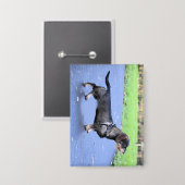 ダッチシュントの金髪のフル 缶バッジ (正面/裏面)